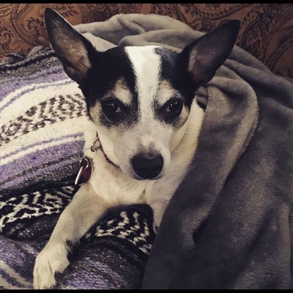 5 Star ratings >400, top seller, fast shipper! - Picture 6 of 8